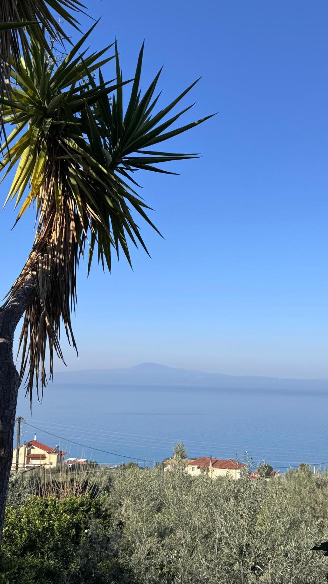 Verga Apartments & Suites Kalamata Dış mekan fotoğraf